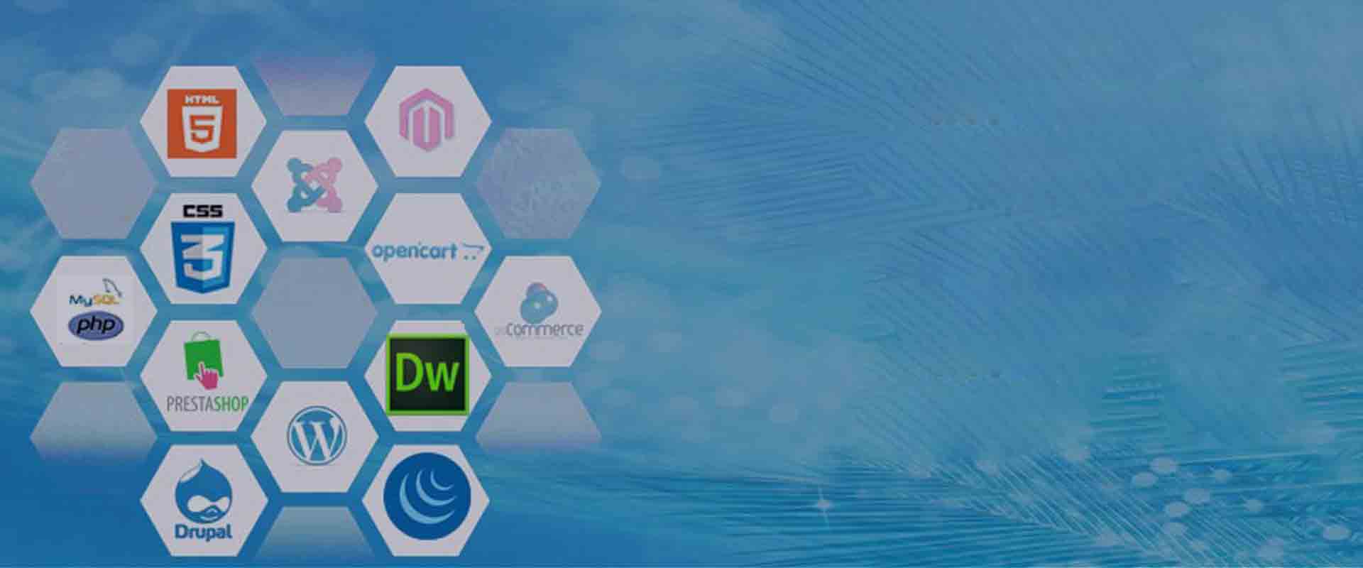 web designing course nigdi Pimpri chinchwad pune